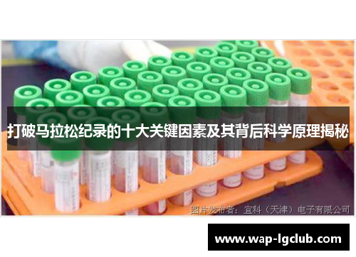 打破马拉松纪录的十大关键因素及其背后科学原理揭秘