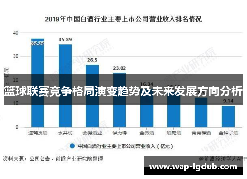 篮球联赛竞争格局演变趋势及未来发展方向分析