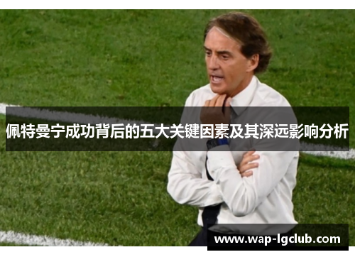 佩特曼宁成功背后的五大关键因素及其深远影响分析