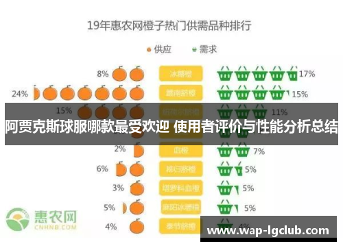 阿贾克斯球服哪款最受欢迎 使用者评价与性能分析总结
