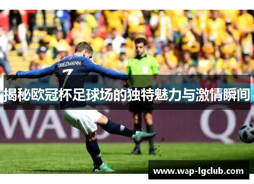 揭秘欧冠杯足球场的独特魅力与激情瞬间