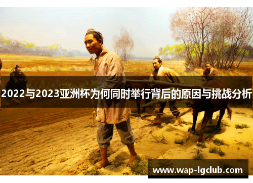 2022与2023亚洲杯为何同时举行背后的原因与挑战分析