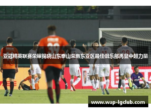 亚冠精英联赛荣耀揭晓山东泰山荣膺东亚区最佳俱乐部再显中超力量
