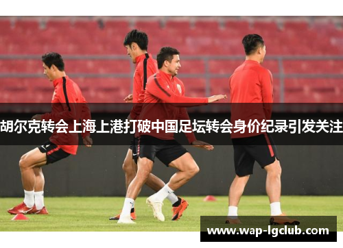 胡尔克转会上海上港打破中国足坛转会身价纪录引发关注
